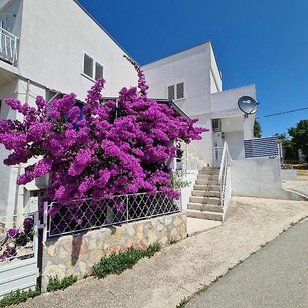 Maslenica-Bougainvillea المظهر الخارجي الصورة